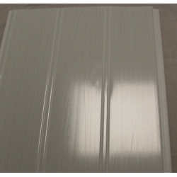 Lambriu 250 PVC 250x8x3000 mm - gri-gri - 7 buc/pac- 5,25 mp