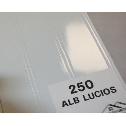 Lambriu 250 PVC 250x8x4000 mm - alb lucios cu canal- alb lucios cu canal- 7 buc/pac- 7 mp